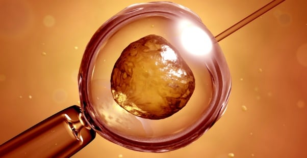 The Council conducted an ethical review of novel techniques for the prevention of mitochondrial DNA disorders. IVF procedure